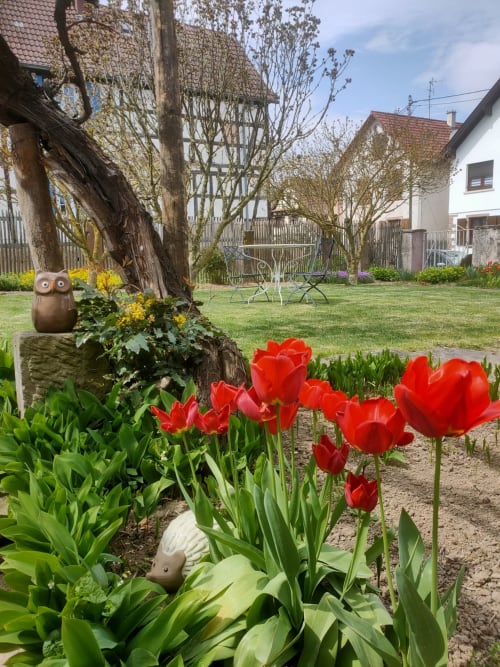 chambre d'hote charme alsace
