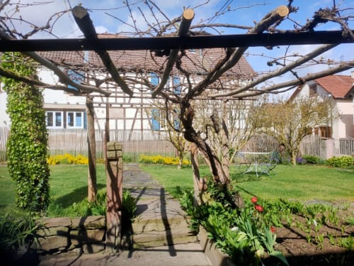 chambre d hote alsace route des vins
