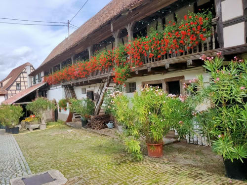 chambres d'hotes en alsace bas rhin
