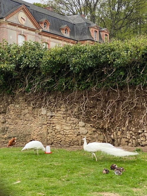 Activités pour les enfants Le Mans - Château de Lauresse
