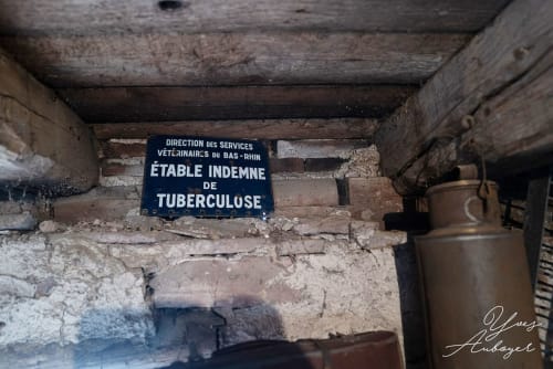 musée agricole alsace
