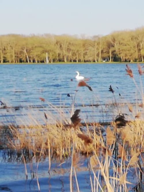 Lac et Oiseaux. Gîte La Closerie à Marcenay en Bourgogne