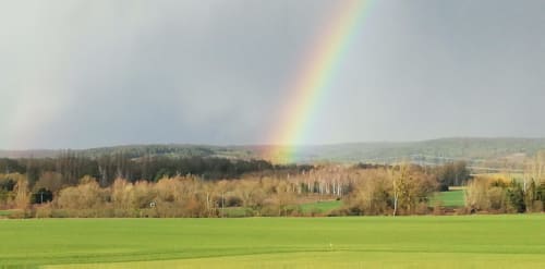 Dans les champs de Bourgogne, à Marceney