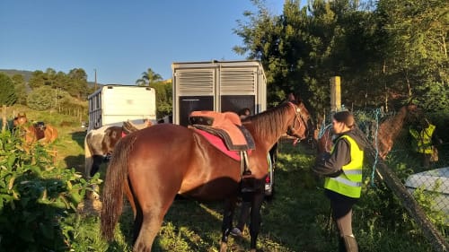Rutas a caballo en Centro Equestre de Outomoro-o Mundil - Casa Luisa a Galleira, Ramiras, Ourense. 