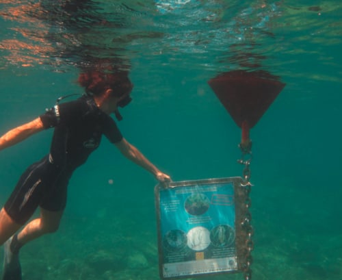 Un plongeur examine une plaque sous-marine dans les eaux turquoise méditerranéennes près de Thuir, France