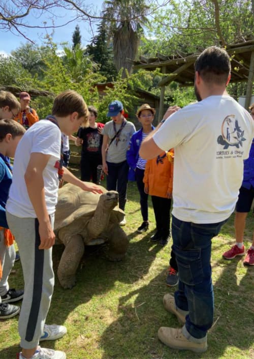 Des enfants caressent une tortue géante lors d'une activité pédagogique aux Gites Mas D'en Ratéro à Thuir, France
