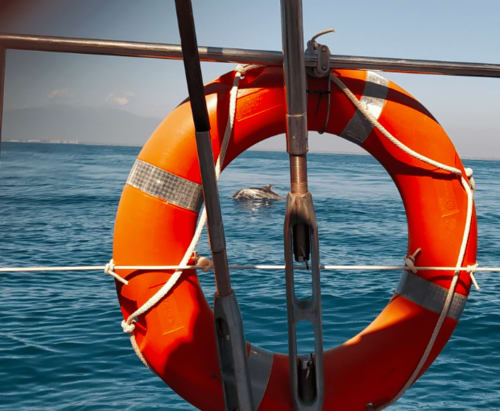 Bouée de sauvetage rouge sur bateau avec dauphin et mer visibles près de Thuir, France