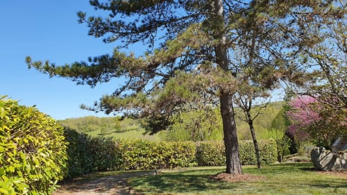 Parque arbolado y espacios verdes del Domaine du Cardou en Puy-l’Évêque
