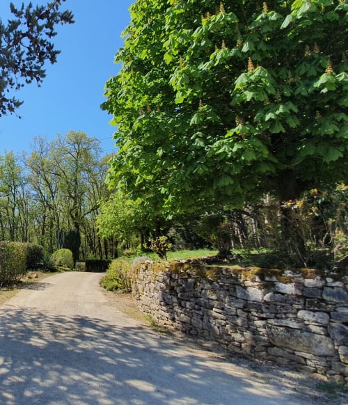 Tree-lined access path to Domaine du Cardou