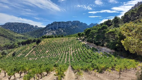 Dormir proche Les Dentelles de Montmirail - les Terrasses de la Roque Alric