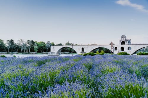 Visiter Avignon - Les Terrasses De La Roque Alric