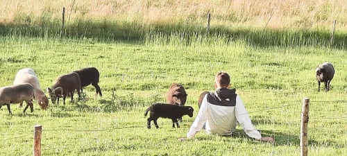 Séjour en famille au domaine du plessis grimaud - Loire-Atlantique