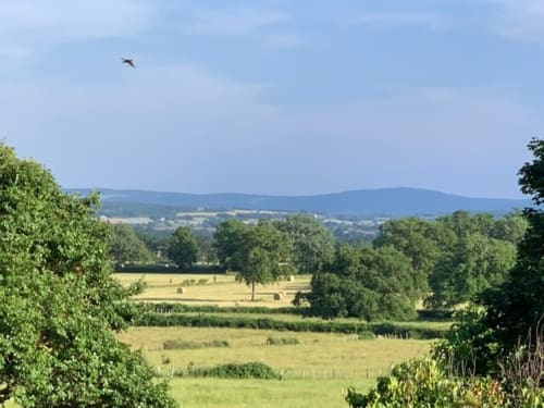 La vue depuis le jardin de L'En Vert du Monde.