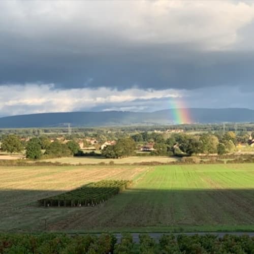 Depuis la Voie Verte.
