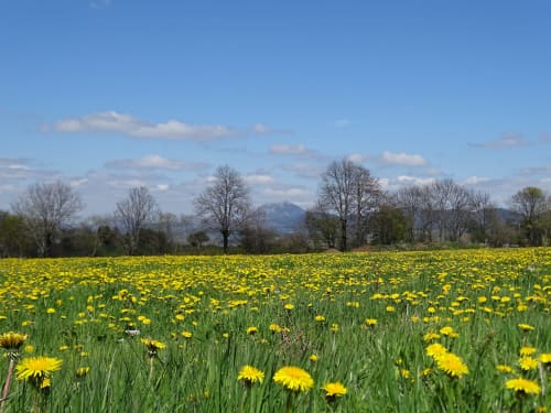 Chambre d'hôtes insolite Auvergne - Logis las Crozas