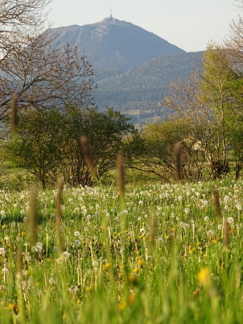 location de vacances avec vue Puy de Dôme - Logis las Crozas
