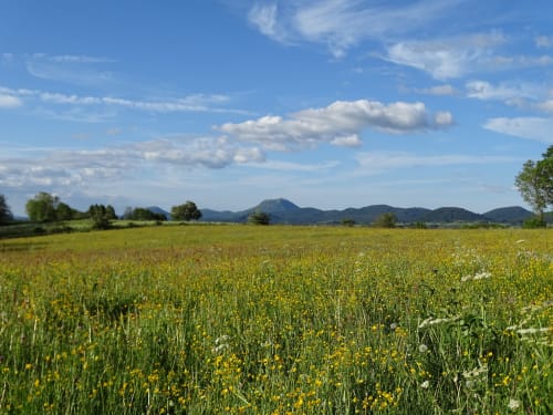 Logis las Crozas - sejour insolite dans le puy de Dôme