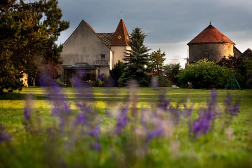 L'Hôte Antique - Maison d'hôtes  Pichanges - jardin - nature et découverte de la campagne 