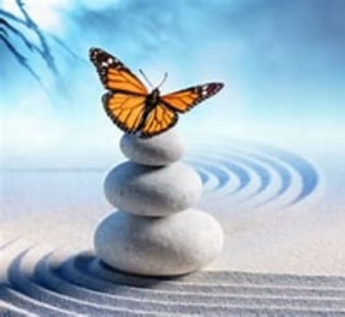 Monarch butterfly perched on stacked stones with ripples, Studio Face Marina, Saint-François