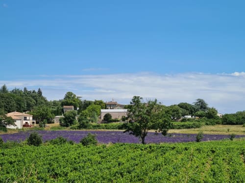 Lavande et vignes, chambres d'hôtes, le petit chêne, Orgnac L'Aven