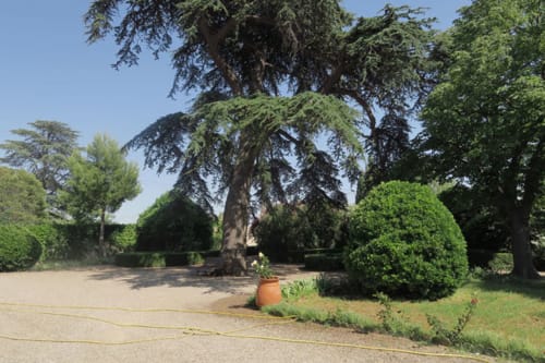Bed and Breakfast Aude
