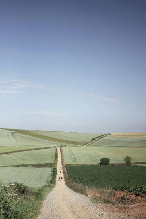San Francisco 58 - Camino de Santiago, Santo Domingo de la Cazada, La Rioja, España