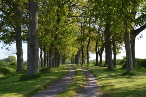 La Synchronicité - Chambres d'hôtes en pleine campagne - Normandie