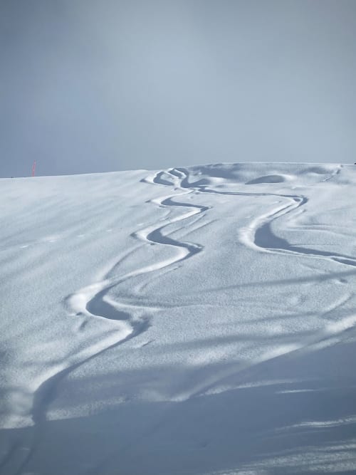 esquí, nieve, trazas de esquí en la nieve