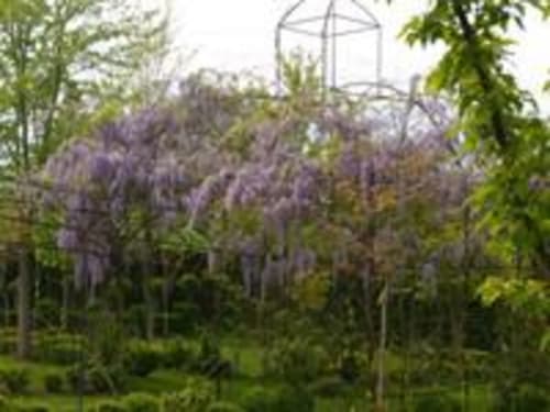 La Peinada - Jardín Botánico de Azofra Jardín Botánico de Azofra, Logroño, La Rioja, España