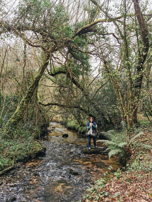 Séjours de ReConnexion en Bretagne, GITES DU BULZ 