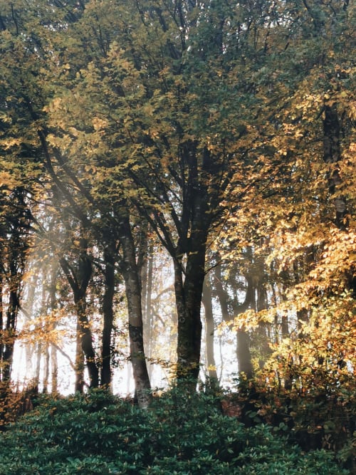 Séjours de ReConnexion en Bretagne, GITES DU BULZ 