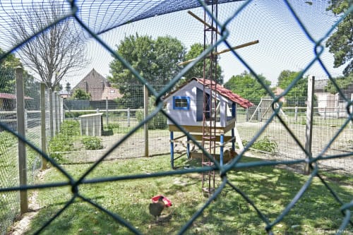 Parc pour les poules, animaux, La ferme, hébergement insolite, La verdine, roulotte, hébergements, Aisne.