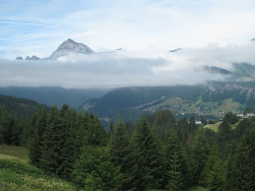 La Ferme des Georgières - Chalet 5 personnes vue montagne - Notre Dame de Bellecombe