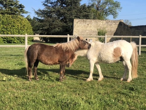 Les Gites de la mare proche Caen - weekend à Caen Saint-Manvieu-Norrey - jardin ferme pédagogique