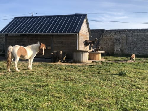 Les Gites de la mare proche Caen - weekend à Caen Saint-Manvieu-Norrey - jardin ferme animaux