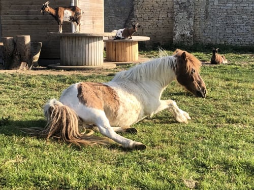 Les Gites de la mare proche Caen - weekend à Bayeux - Saint-Manvieu-Norrey - jardin 