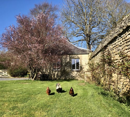 Les Gites de la mare proche Caen - weekend à Caen Saint-Manvieu-Norrey - jardin 