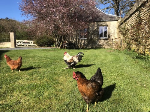 Les Gites de la mare proche Caen - weekend à Caen Saint-Manvieu-Norrey - jardin 
