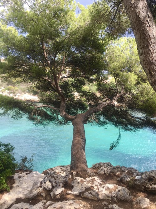 Holiday Villa - Cala d'Or, Mallorca