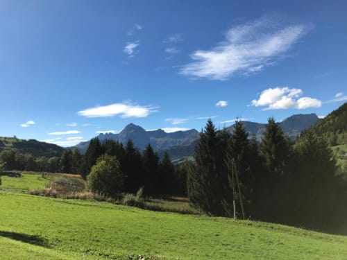 La Ferme des Georgières - Mont Blanc