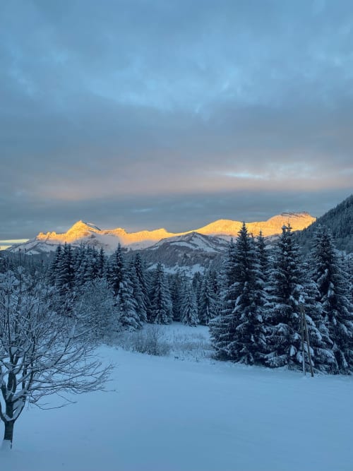 La Ferme des Georgières - Location chalets en montagne - Savoie