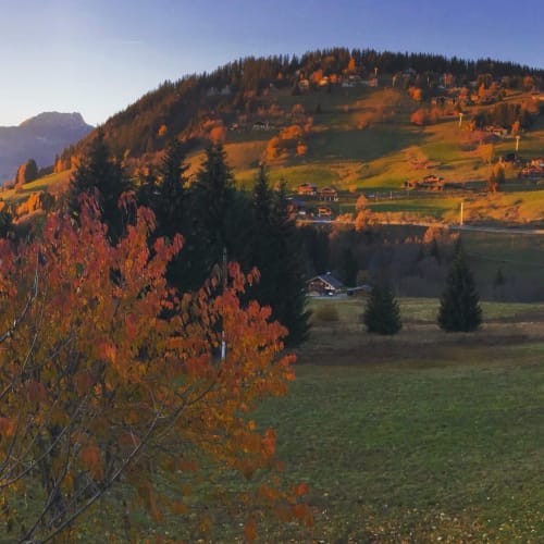 La Ferme des Georgières - Notre Dame en Bellecombe en automne