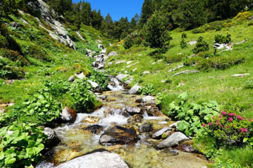 Finca Cal Tarré - alojamientos turísticos, Campdevànol, Cataluña, España