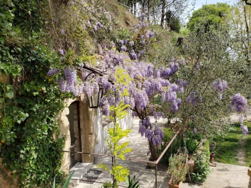 Moulin de Bonfilhon - Location vacances à Cornillon-Confoux Provence - Chambre La Troglodyte