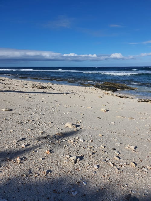 Plage, bord de mer, Moorea Lodge, Tahiti