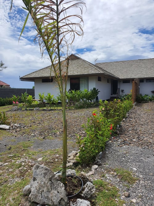 jardin, aute, parking, moorea lodge, Tahiti