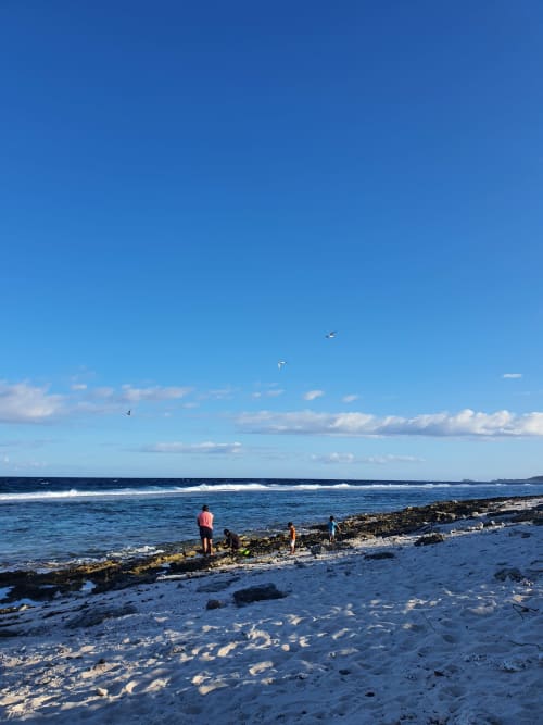vue mer, hébergement, séjour, maison, moorea lodge, Tahiti