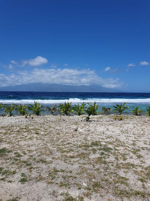 Beach, waves, villa with view French Polynesia, BUNGALOW AUI - MOOREA LODGE, Tahiti