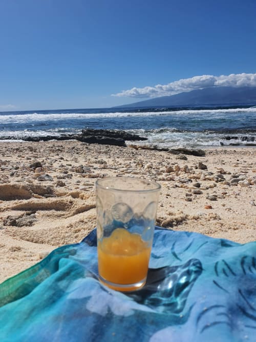 apéro bord de mer, hébergement, séjour, maison, moorea lodge, Tahiti