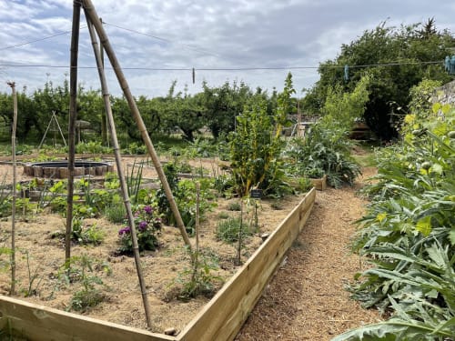 Potager biologique - Domaine du Plessis Grimaud, Gîte et chambres d'hôtes Nantes Pornic